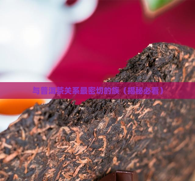 与普洱茶关系最密切的族