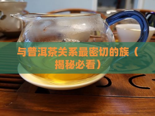 与普洱茶关系最密切的族