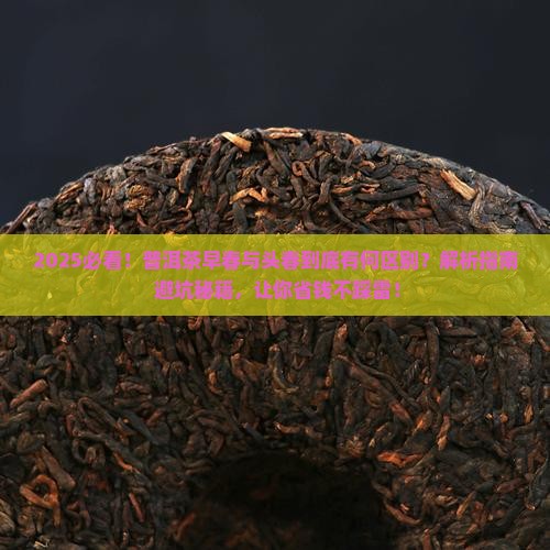 普洱茶早春跟头春什么区别