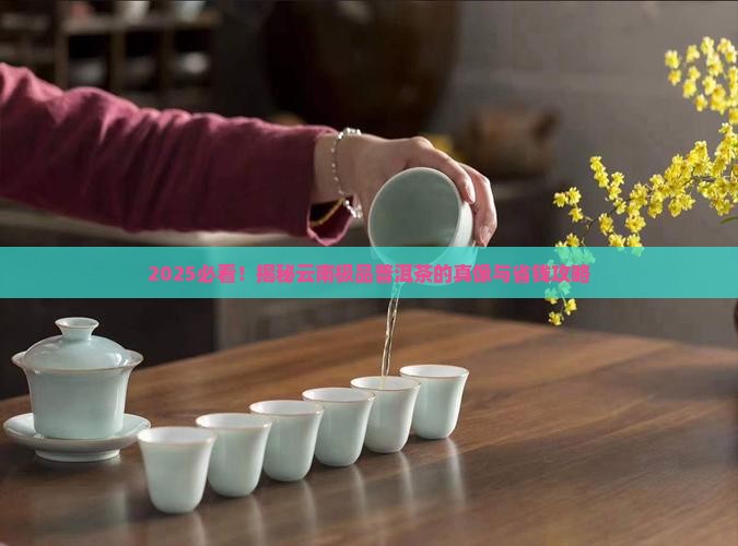 云南极品普洱茶