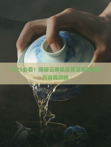 云南极品普洱茶