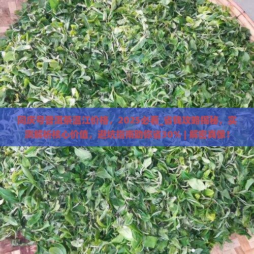 同庆号普洱茶温江价格