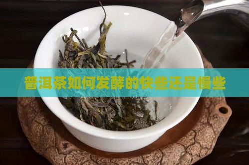 普洱茶如何发酵的快些还是慢些