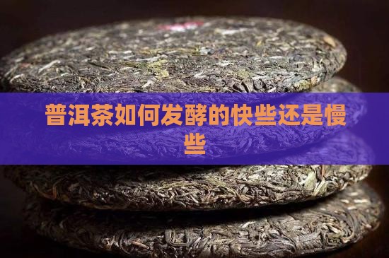 普洱茶如何发酵的快些还是慢些