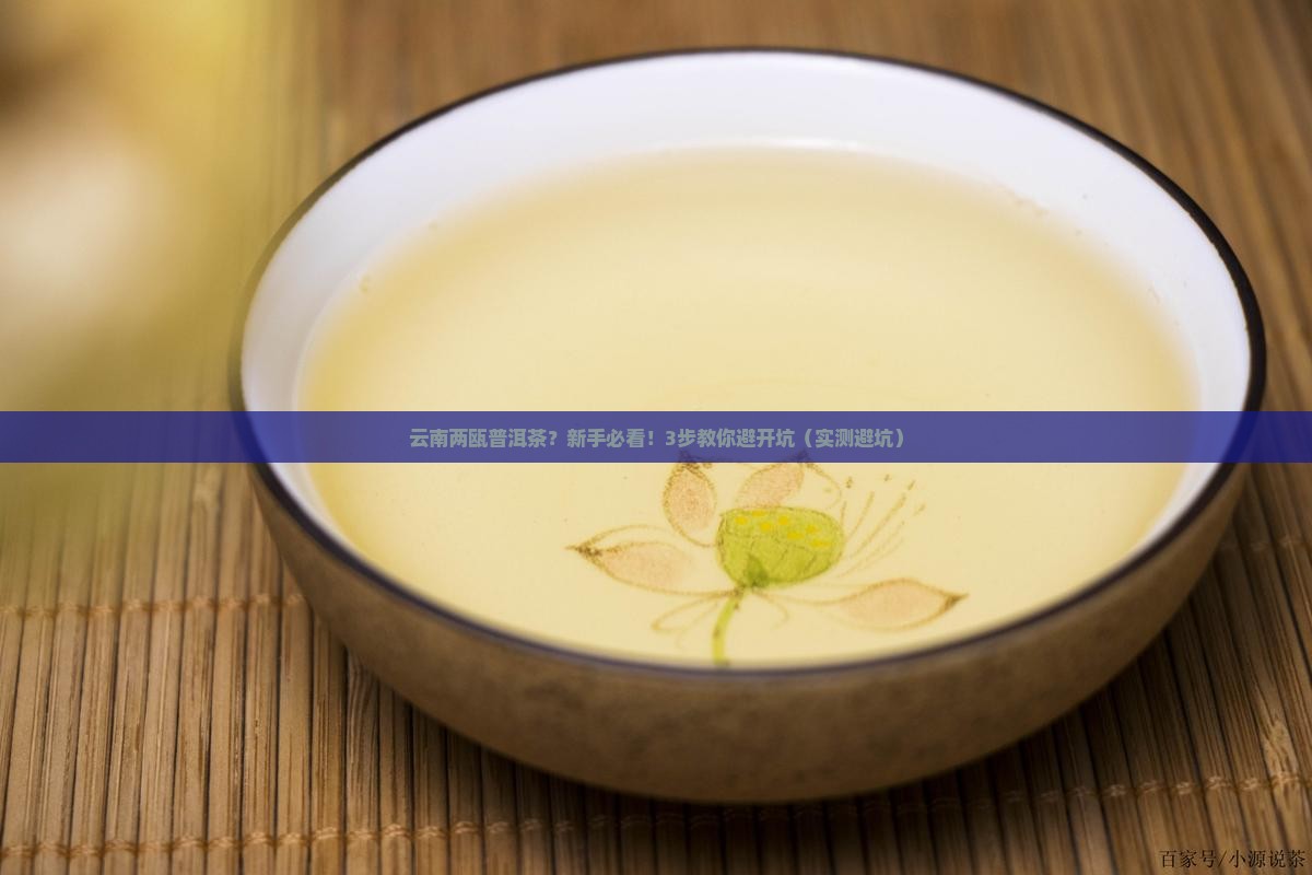 云南两瓯普洱茶