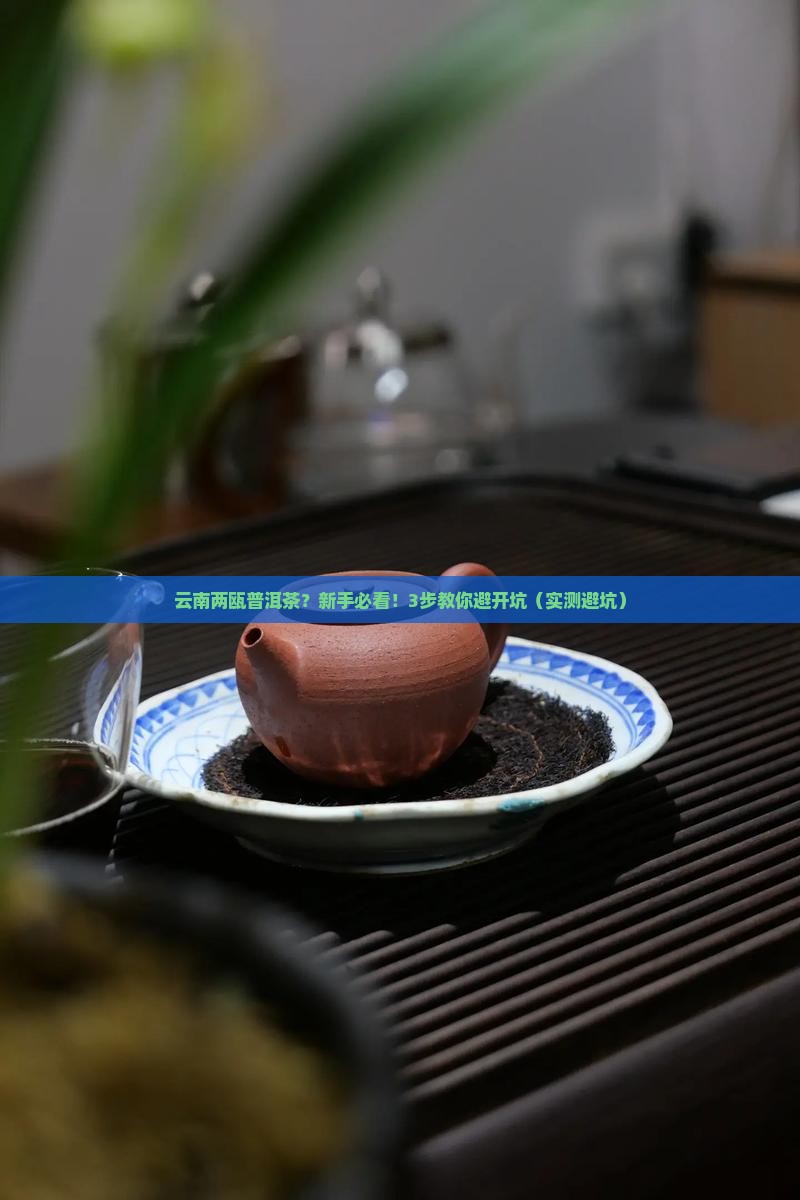 云南两瓯普洱茶