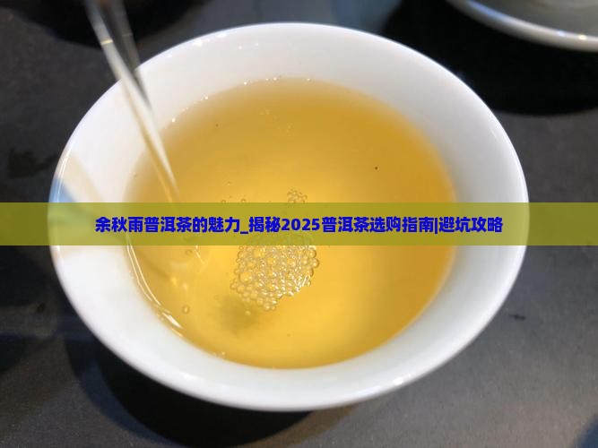 余秋雨普洱茶的魅力
