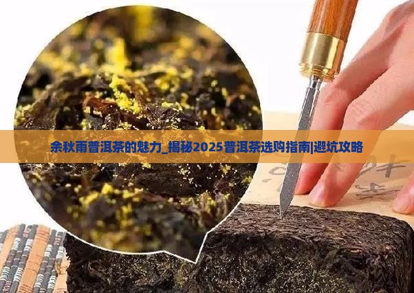 余秋雨普洱茶的魅力