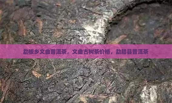 勐板乡文曲普洱茶