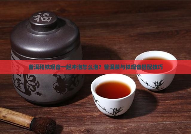 熟普洱和铁观音一起泡吗