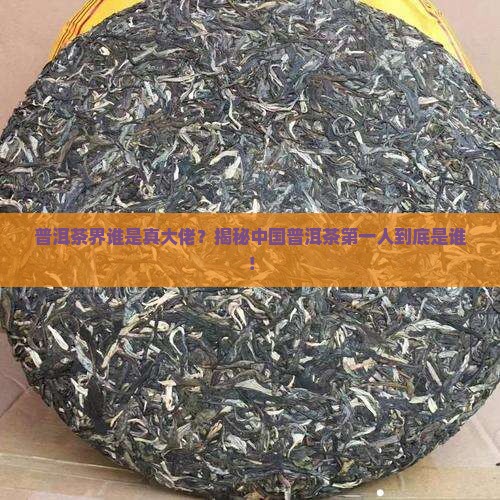 中国普洱茶第一人是谁