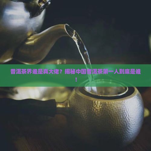 中国普洱茶第一人是谁