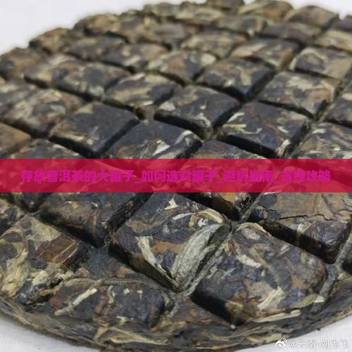 存放普洱茶的大罐子
