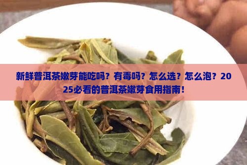 新鲜普洱茶嫩芽能吃吗有毒吗