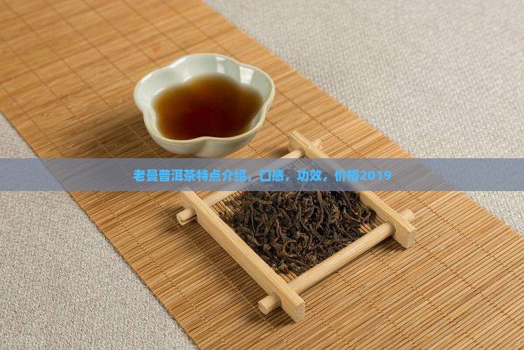 老曼普洱茶特点
