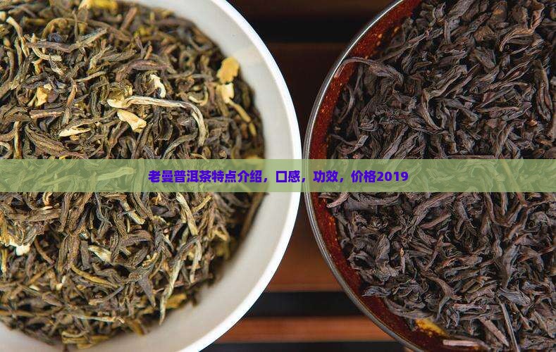 老曼普洱茶特点