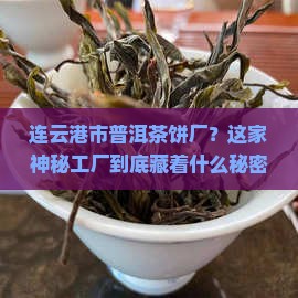 连云港市普洱茶饼厂