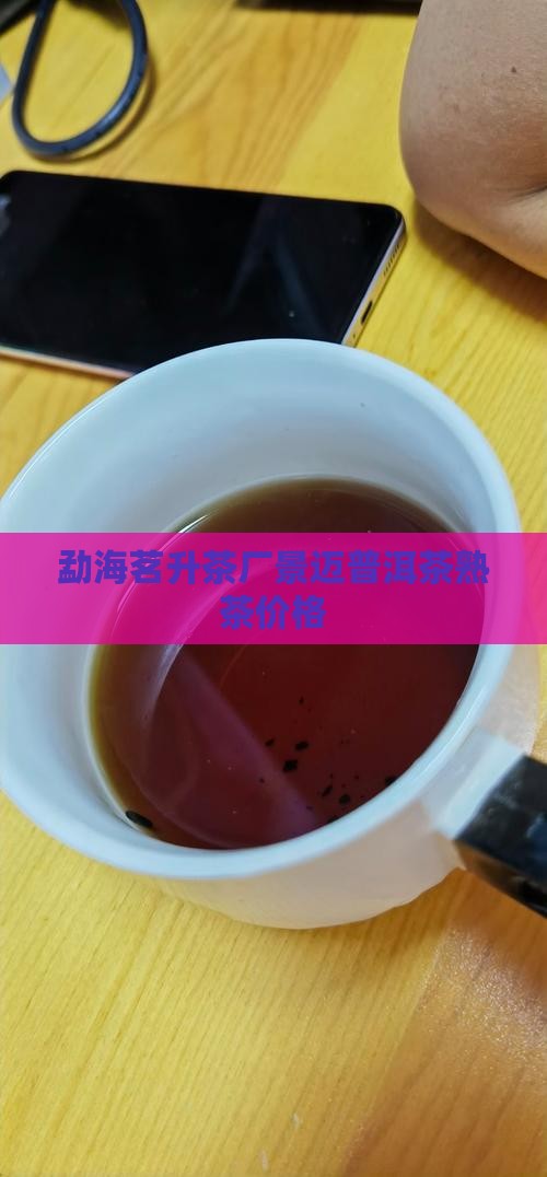 勐海茗升茶厂景迈普洱茶