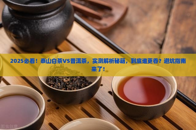 泰山白茶和普洱茶哪个好