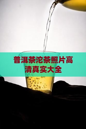 普洱茶沱茶照片
