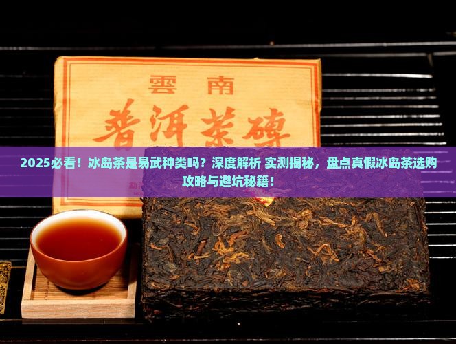冰岛茶是易武种类么