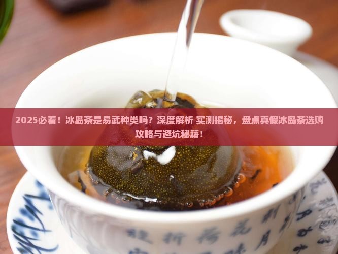 冰岛茶是易武种类么