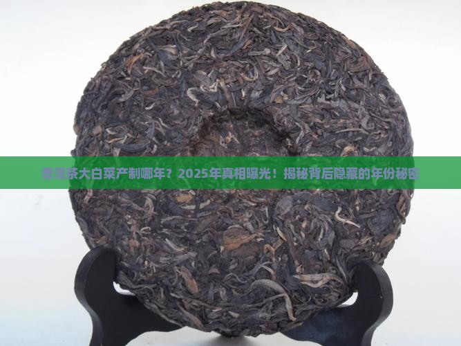 普洱茶大白菜产制哪年