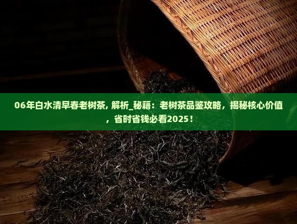 06年白水清早春老树茶