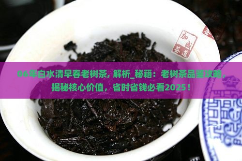 06年白水清早春老树茶
