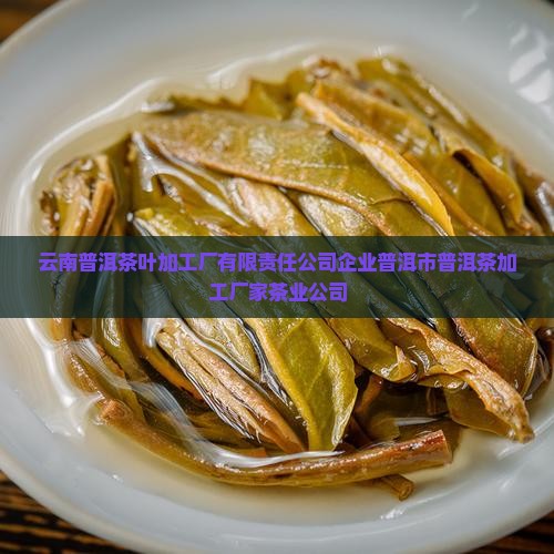 小型普洱茶叶加工厂