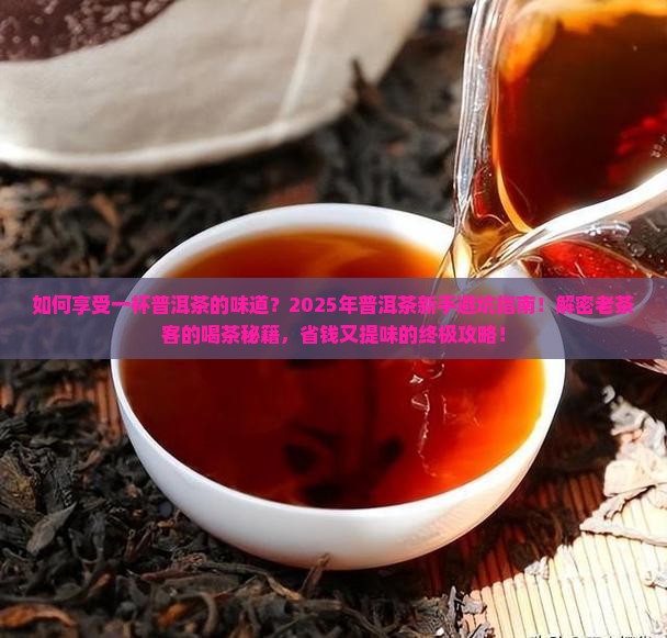 如何享受一杯普洱茶的味道
