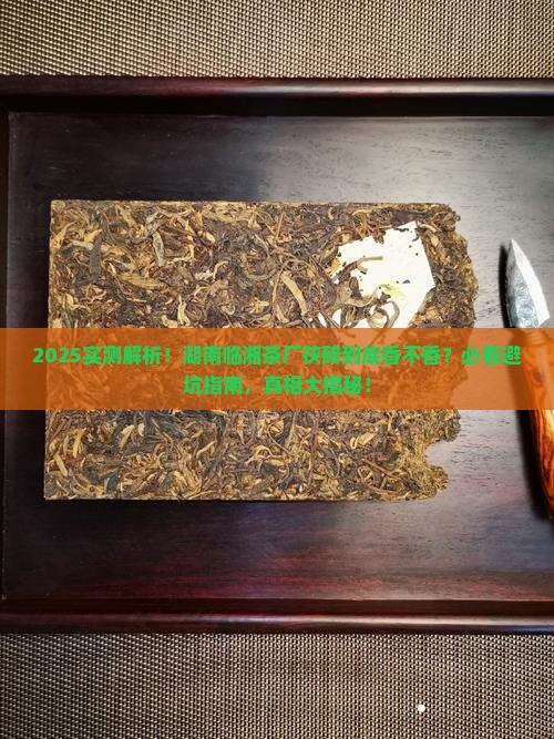 湖南临湘茶厂茯砖怎么样