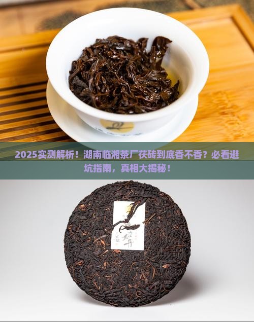 湖南临湘茶厂茯砖怎么样