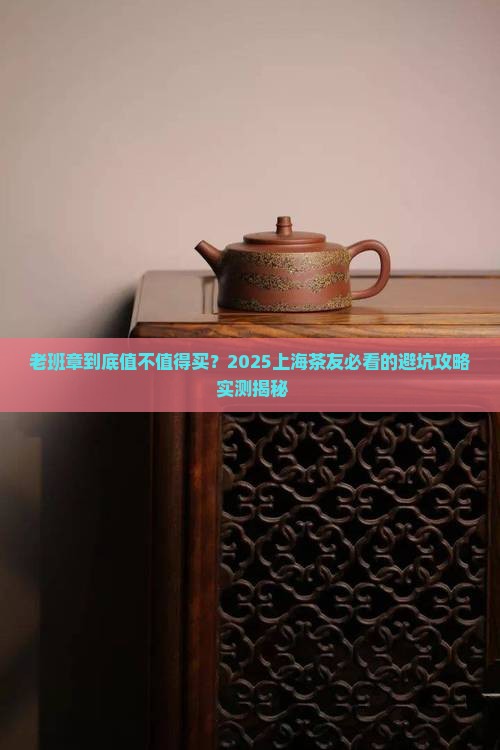 上海老班章购买指南