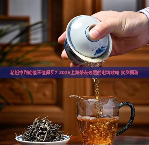 上海老班章购买指南