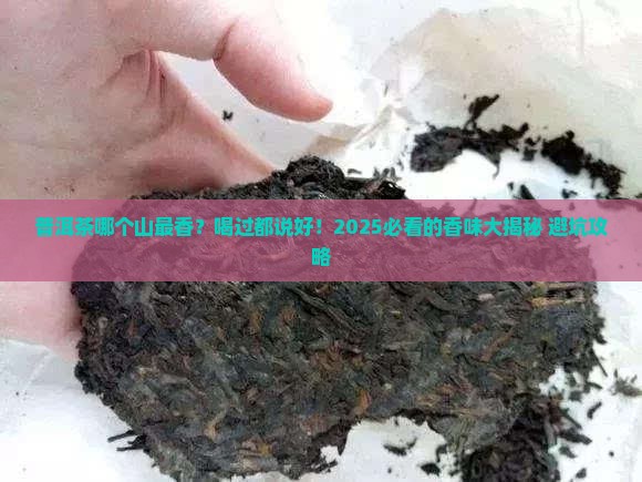 普洱茶哪个山最香好喝又好喝