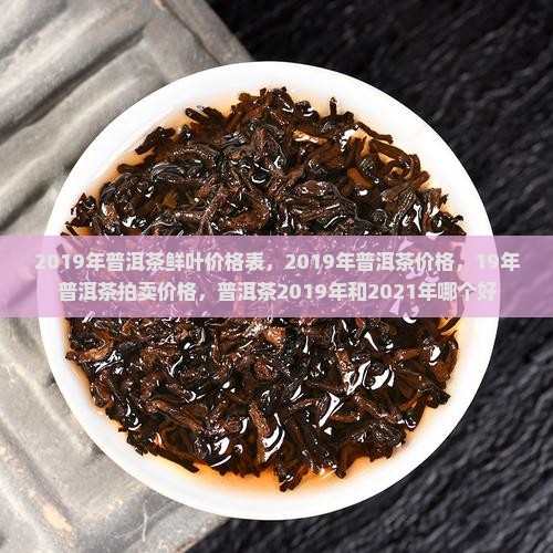 2019年普洱茶鲜叶价格