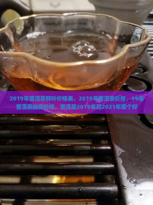 2019年普洱茶鲜叶价格
