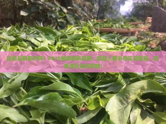 运动后喝茶好吗
