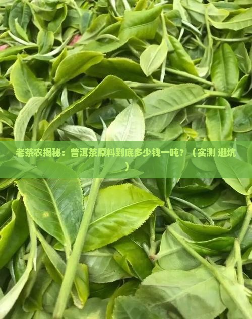 普洱茶原料一般是多少钱一吨