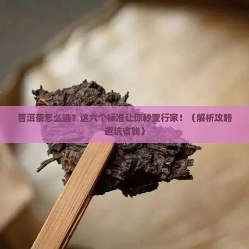普洱茶六个评判标准