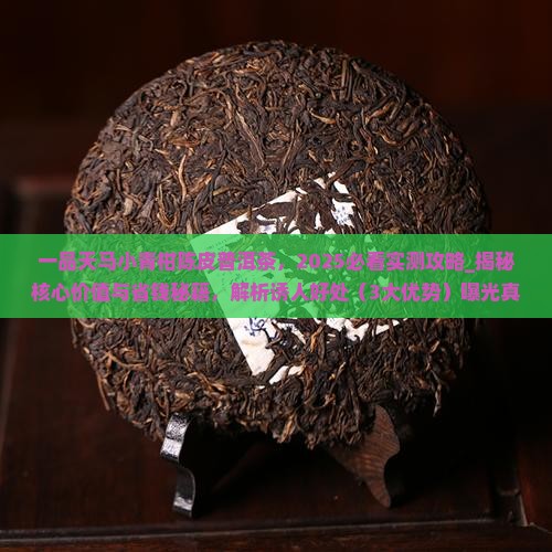 一品天马小青柑陈皮普洱茶