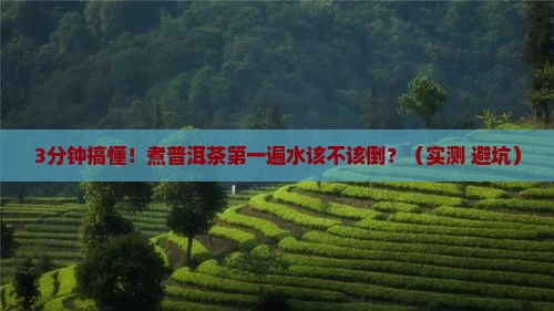 煮普洱茶第一遍水是否倒掉
