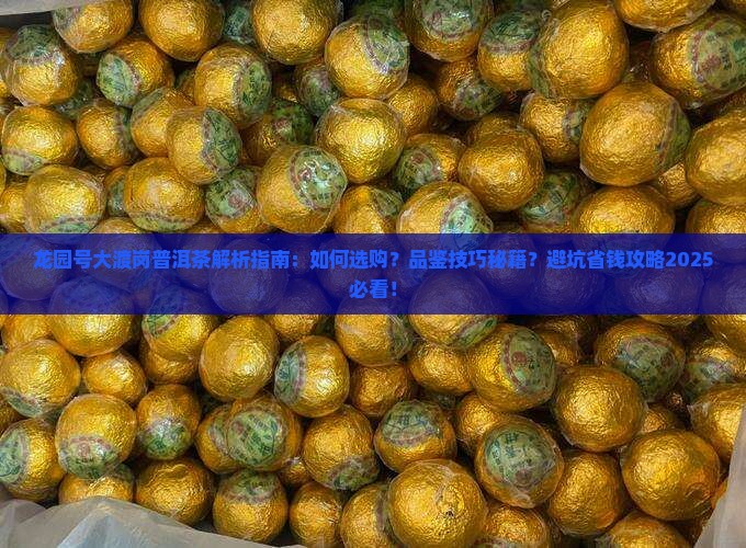 龙园号大渡岗普洱茶