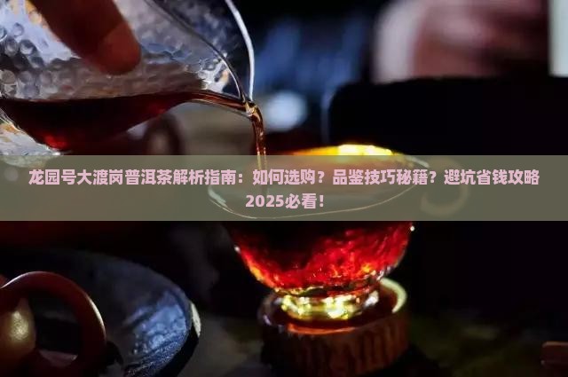 龙园号大渡岗普洱茶