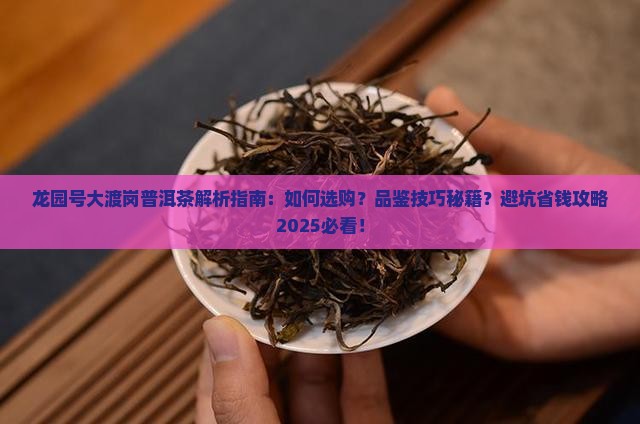 龙园号大渡岗普洱茶