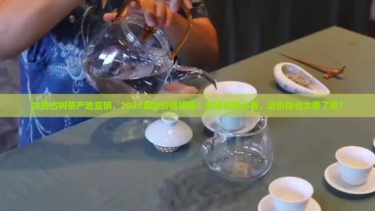 冰岛古树茶产地直销价格