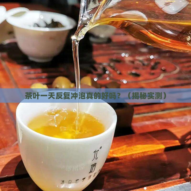 茶叶一天反复冲泡好吗