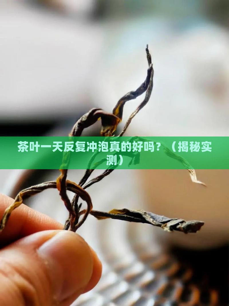 茶叶一天反复冲泡好吗
