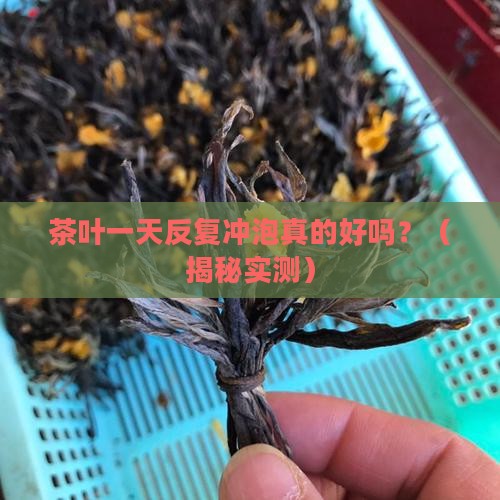 茶叶一天反复冲泡好吗